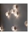Bocci jellyfish wall lamp