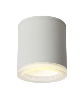  Led Surface Mounted Ceiling Downlight for indoor Living room, Bedroom, Kitchen, Bathroom, Corridor Spot light AC90-260V