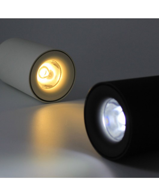 LED Downlight Surface Mounted Ceiling Lamps AC85-260V White/Black Spot light for Living Room Bedroom Hallway