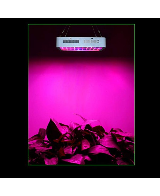 Led Grow Light 1000 Watt  Full Spectrum Indoor Grow Lights for Veg&Flower in Greenhouse Tent Plant Replaced HPS Light