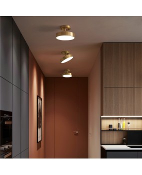 Corridor light, corridor light, luxurious all copper living room, modern, simple, creative, household, entrance hall, exposed ceiling light fixture