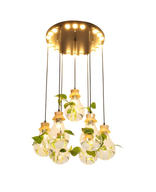 Modern creative bar counter restaurant, glass water plant fish tank pendant light, countryside small fresh bedside personalized pendant light