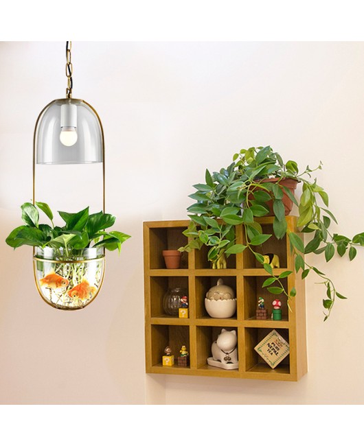 Creative glass plant hydroponic pendant light, Nordic hydroponic plant iron art restaurant bar counter aisle balcony creative pendant light