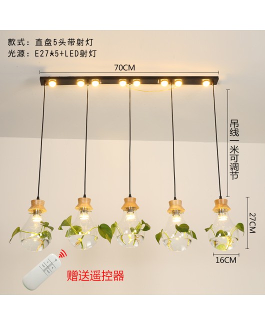 Modern creative bar counter restaurant, glass water plant fish tank pendant light, countryside small fresh bedside personalized pendant light