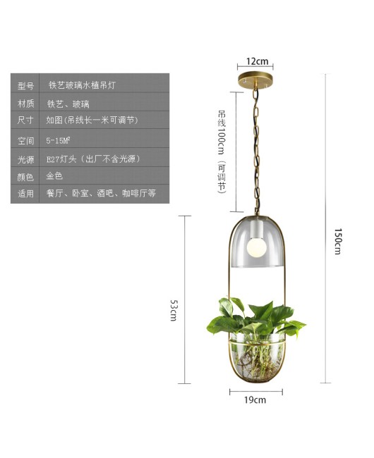 Creative glass plant hydroponic pendant light, Nordic hydroponic plant iron art restaurant bar counter aisle balcony creative pendant light