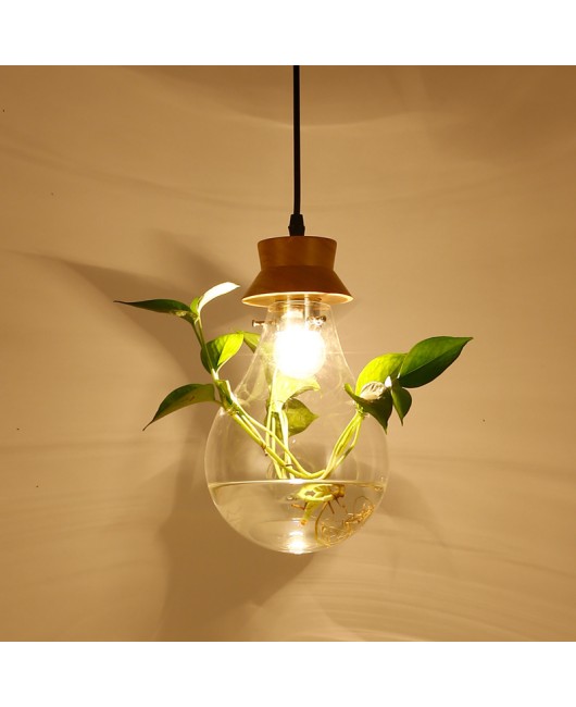 Modern creative bar counter restaurant, glass water plant fish tank pendant light, countryside small fresh bedside personalized pendant light
