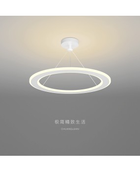 Bedroom hanging modern minimalist light luxury designer style minimalist master bedroom diffuse reflection eye protection LED circular LED pendant light