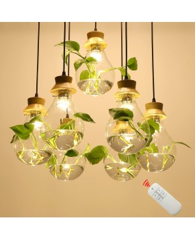 Modern creative bar counter restaurant, glass water plant fish tank pendant light, countryside small fresh bedside personalized pendant light