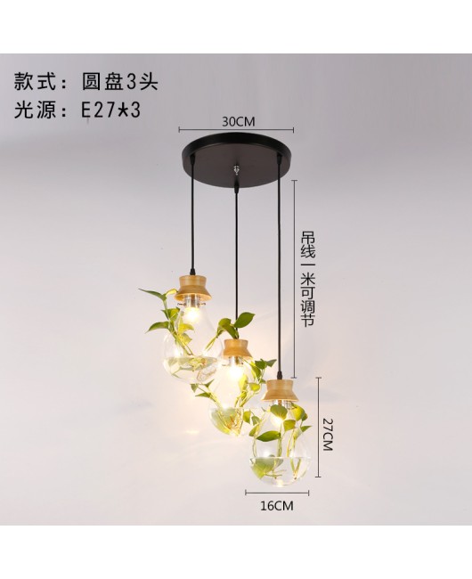 Modern creative bar counter restaurant, glass water plant fish tank pendant light, countryside small fresh bedside personalized pendant light