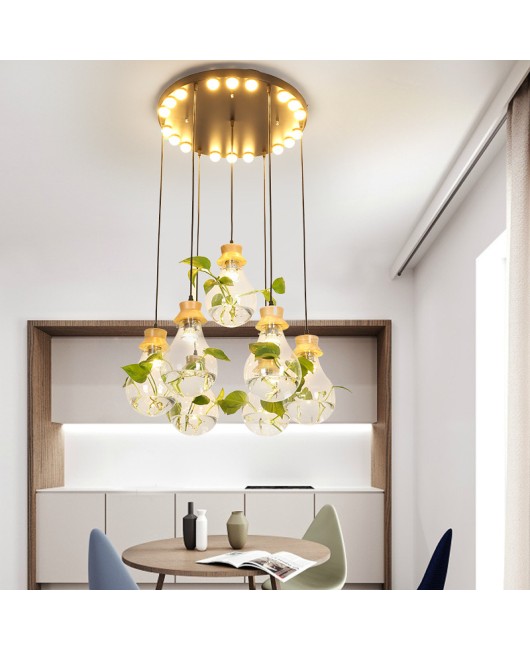 Modern creative bar counter restaurant, glass water plant fish tank pendant light, countryside small fresh bedside personalized pendant light