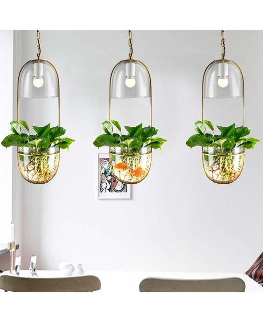 Creative glass plant hydroponic pendant light, Nordic hydroponic plant iron art restaurant bar counter aisle balcony creative pendant light