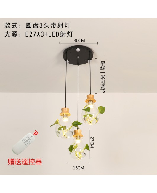 Modern creative bar counter restaurant, glass water plant fish tank pendant light, countryside small fresh bedside personalized pendant light