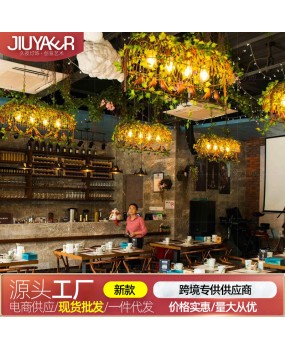 Industrial style retro pendant light creative bird cage personalized hot pot milk tea shop coffee shop dining bar decoration plant pendant light
