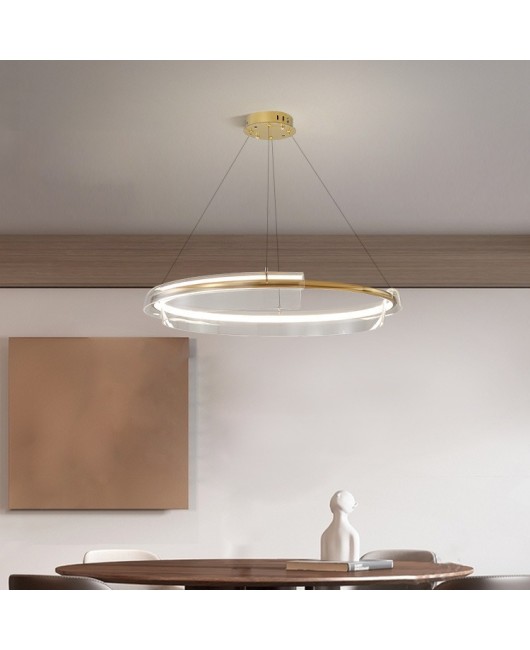 Postmodern light luxury living room LED ring pendant light Nordic minimalist internet famous atmospheric restaurant designer bedroom pendant light
