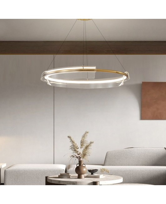 Living room pendant lamp designer circular LED light luxury internet famous restaurant atmospheric simple post-modern bedroom pendant lamp