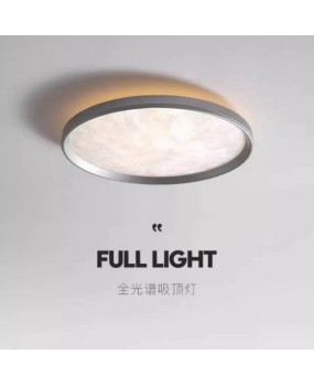 Modern minimalist bedroom ceiling light, personalized art, extremely simple full spectrum eye protection room, study, high-end ice flower light