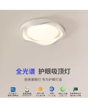 Modern minimalist full spectrum eye protection bedroom ceiling light, Nordic minimalist creative room light, intelligent home master bedroom light