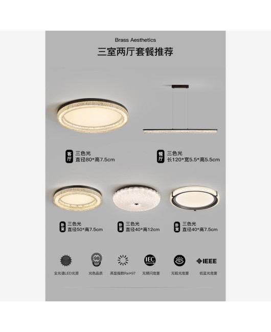 All copper living room light luxury high-end feeling ceiling light Italian minimalist living room main light modern minimalist new whole house light