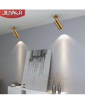 Nordic gold surface mounted spotlights, living room dining room ceiling lights, clothing store backgrounds, LED tracks, brass colored spotlights