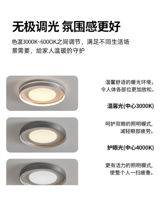 2024 new Nordic bedroom ceiling light, modern and simple foyer lamp, designer's personalized master bedroom room light