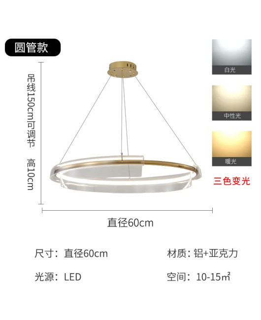 Postmodern light luxury living room LED ring pendant light Nordic minimalist internet famous atmospheric restaurant designer bedroom pendant light