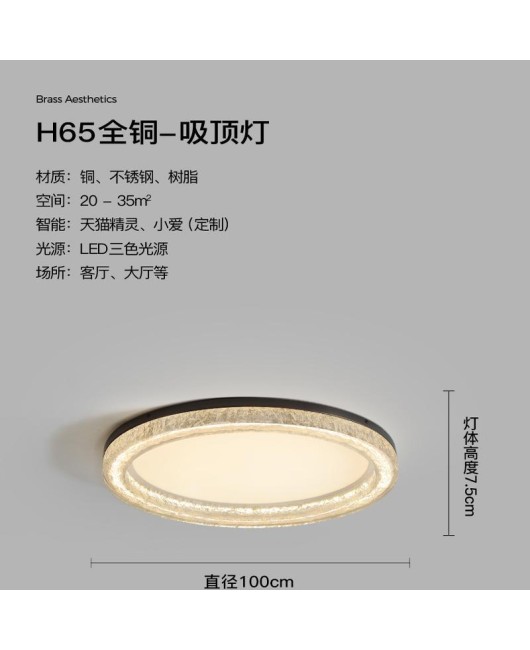 All copper living room light luxury high-end feeling ceiling light Italian minimalist living room main light modern minimalist new whole house light