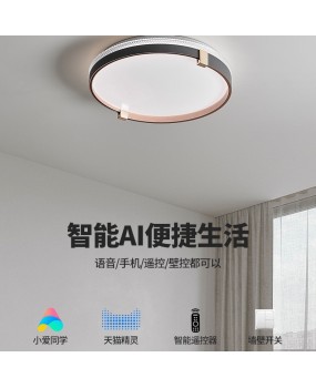 Modern minimalist circular bedroom ceiling light full spectrum eye protection book room 2024 new Guangdong Zhongshan lighting fixtures