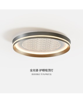 Living room ceiling light Italian style light luxury minimalist 2024 new minimalist style restaurant light full spectrum LED bedroom lighting