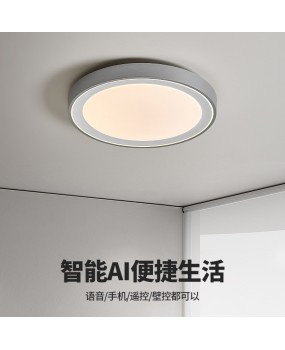 Minimalist bedroom light, ceiling light, Nordic master bedroom lighting, room dining room, study room, balcony, square LED living room light