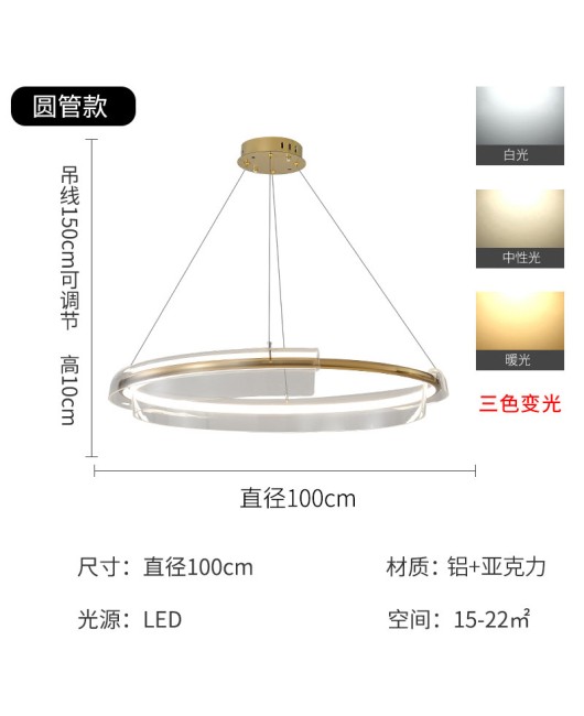 Postmodern light luxury living room LED ring pendant light Nordic minimalist internet famous atmospheric restaurant designer bedroom pendant light