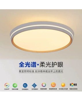 Minimalist high-end living room light, modern minimalist and atmospheric hall main light, warm and creative personalized bedroom fashionable ceiling light