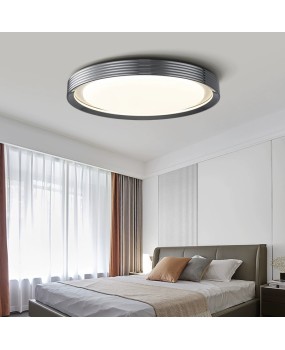 Bedroom ceiling light, modern simplicity, light luxury, high-end circular creative, intelligent LED eye protection, study room ceiling light