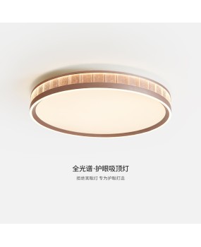Living room ceiling light, modern, simple, high-end, atmospheric, full spectrum LED eye protection 2024 new main hall ceiling light
