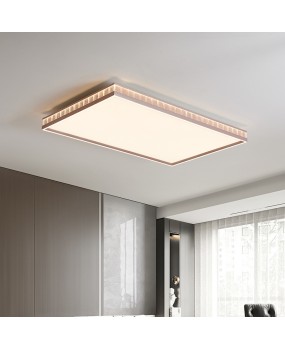 Living room ceiling light, modern, simple, high-end, atmospheric, full spectrum LED eye protection 2024 new main hall ceiling light