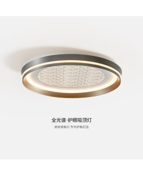 Living room ceiling light Italian style light luxury minimalist 2024 new minimalist style restaurant light full spectrum LED bedroom lighting
