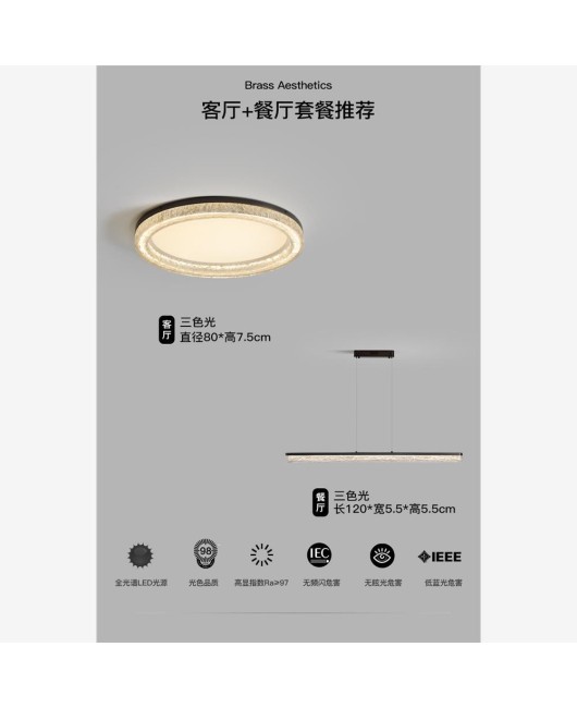 All copper living room light luxury high-end feeling ceiling light Italian minimalist living room main light modern minimalist new whole house light