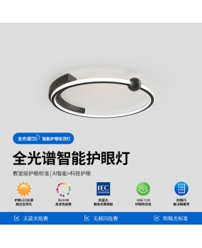 Minimalist bedroom light ceiling light modern minimalist Nordic LED room master bedroom light luxury circular restaurant lighting