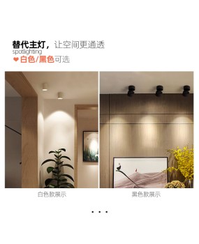 LED ceiling mounted spotlight with adjustable angle and foldable anti glare background wall, foyer, hallway, restaurant ceiling light