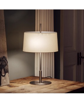 Diana Modern Art Design Floor Lamp Italian Minimalist Luxury Hotel Living Room Bedroom High end Desk Lamp