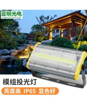 LED floodlight outdoor rainproof 50w 100w module floodlight project high brightness landscape lighting 220V high voltage