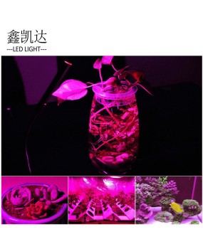Cross border hot selling 10W driver free COB light source linear Grow full spectrum LED beads