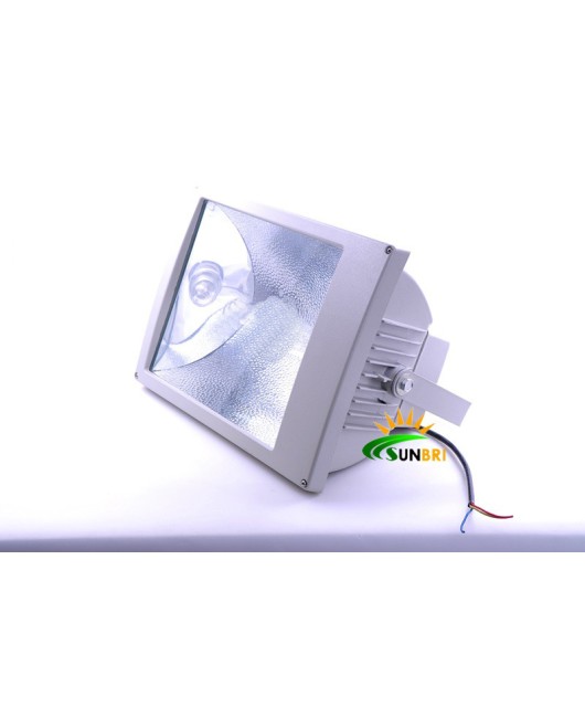 HID Metal Halide Xenon Flood Light Projection Light Signboard Light Stadium Light 100W250W400W