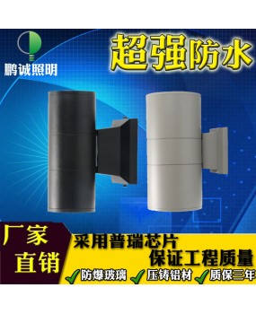 LED dual head single head exterior wall lamp, outdoor waterproof column, exterior wall, courtyard, garden, terrace cylindrical lamp, 6W