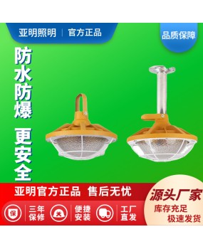 LED explosion-proof lighting fixtures, explosion-proof workshop, tunnel, chemical warehouse, gas station, explosion-proof factory, three proof lighting fixtures