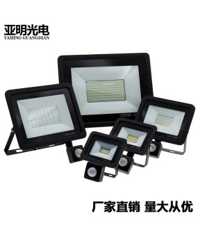 LED small apple infrared human body light control sensing projection light corridor waterproof garage corridor lighting floodlight