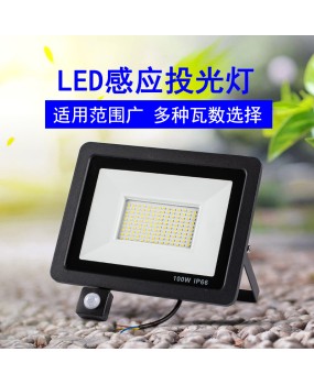 LED small apple infrared human body light control sensing projection light corridor waterproof garage corridor lighting floodlight