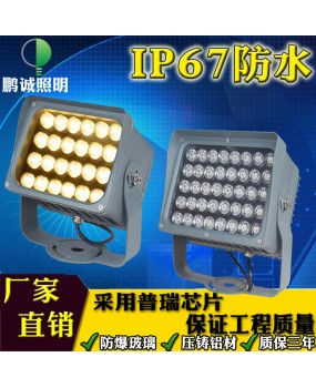 Exterior wall spotlights, LED outdoor waterproof floodlights, wall washing lights, tree lights, outdoor garden greening landscape projection lights