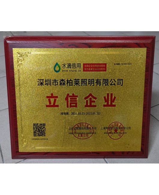 HID Metal Halide Xenon Flood Light Projection Light Signboard Light Stadium Light 100W250W400W