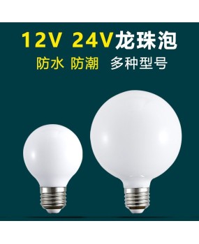 360 ° LED Ball Bubble Makeup Mirror Light Dragon Ball Bubble Wedding Scene Light Dining Pendant Decoration 12V24V Low Voltage