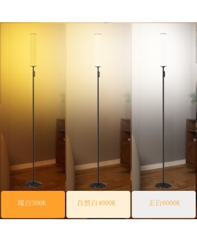 360 degree illumination RGBIC+CW ambient lighting floor lamp color, temperature, dimming, scale function